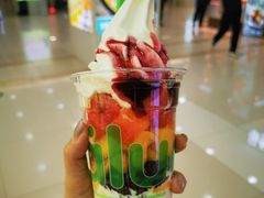 -Salud撒露欧洲冻酸奶(五道口购物中心店)