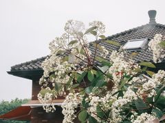 -杭州西湖风景名胜区-满觉陇四眼井