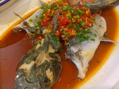 剁椒蒸鲈鱼-金龙渔港(双楠店)