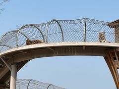 -无锡动物园·太湖欢乐园