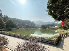 -广州市帽峰山景区