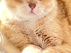 -尊宝比萨(江南豪园店)