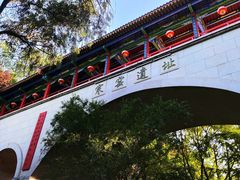 -西安曲江寒窑遗址公园