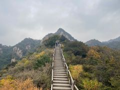 -大岭沟猕猴桃谷风景区
