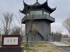 -盐城丹顶鹤湿地生态旅游区