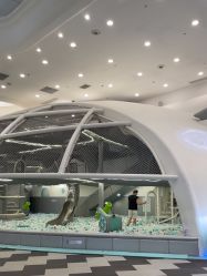 -MINI MARS 移动的空间站乐园·餐饮·派对(浦东金桥店)