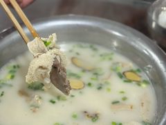 招牌羊肉火锅-野狗羊肉汤