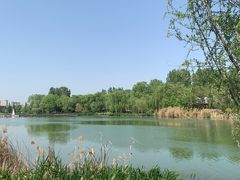 -Supine Bistro溯泮餐厅