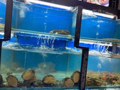 水产区-老东镇啤酒屋海鲜加工·蒸汽海鲜·海鲜烧烤(台东店)