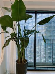 -Hello Lady发型设计