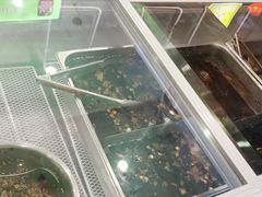-鸿运兔·手撕烤兔(天府广场店)