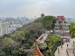 -黄鹤楼公园(黄鹤楼)