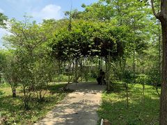 -广东花都香草世界旅游度假区