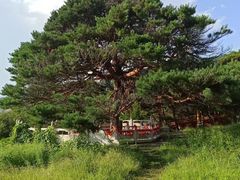 -延吉东来寺