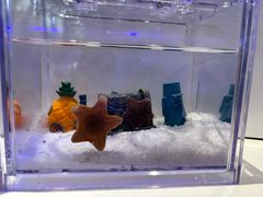 -瑞虹新天地月亮湾