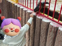 -荆州中山公园动物园