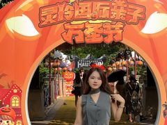 -灵玲国际马戏城