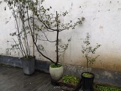 -猫的天空之城概念书店(杭州南宋御街店)