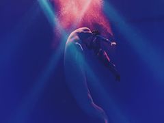 -芜湖新华联大白鲸海洋公园