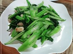 -东鸽皇(奥园·中环广场店)