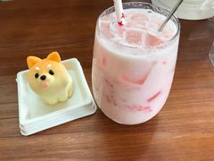 -柴犬高等学院·狗咖·柴犬售卖·宠物训练