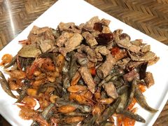 -晓雯人家