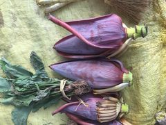 -扬美古镇景区