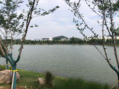 -羊山湖公园