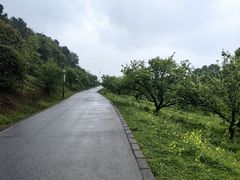 -苏州上方山国家森林公园