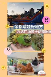 -萌宠亲子动物乐园(槐房万达店)
