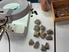 -房山世界地质公园博物馆