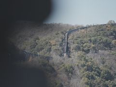 -黄贤森林公园