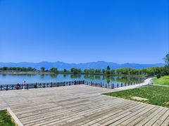 -野鸭湖国家湿地公园