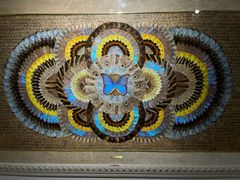 -上海昆虫博物馆