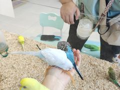 -怪兽屋·羊驼·猫咖·狗咖(俊华广场店)