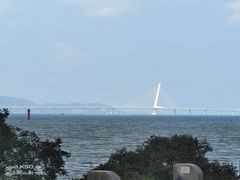 -福田红树林生态公园