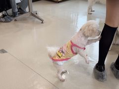 -共舞时光猫咖·狗咖(新街口店)