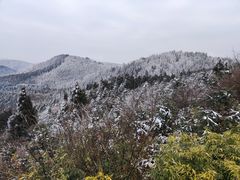 -武陵山森林公园
