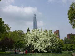-泰丰公园