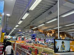 -玩具反斗城(海港城店)