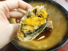 -诺莱仕游艇会