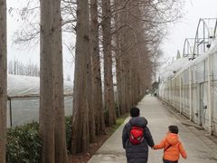 -前小桔亲子创意农场·草莓采摘·露营烧烤