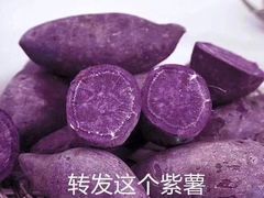 -坚果健身24小时工作室(定西路店)