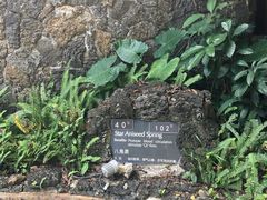 -海口观澜湖火山温泉谷