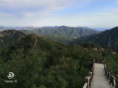 -大岭沟猕猴桃谷风景区