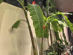 -单家老院·院子里的青岛菜(沙子口店)