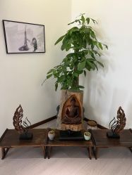 -馨媛瑜伽普拉提