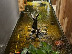 -邈墨茶馆(凤起路店)