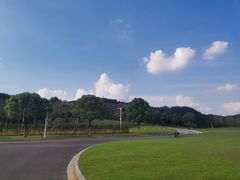 -羊山湖公园