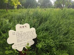 -洨河生态公园